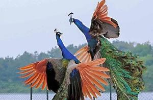 Amazing! How did you capture such a fantastic moment! Truly a sight to behold.