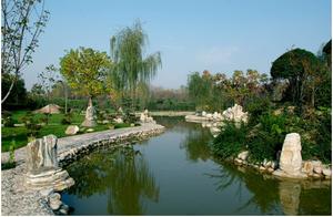 Discovering a 'Flower World' Here: Two Spring Bloom Routes to 'Taste' the Most Beautiful Spring