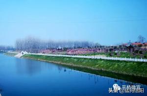 Pingqiao Minggang Town: Enjoying Spring Flowers by the Daming River