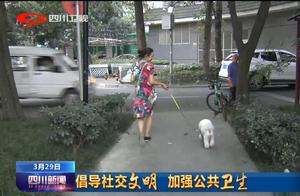Sichuan News | Civilized Dog Ownership, Respect Public Virtue, and Healthy Exercise