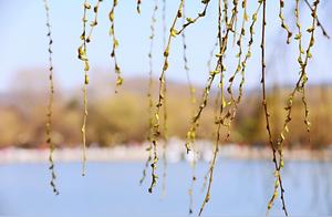 Time for Spring Viewing and Youth Exploration