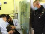 Police and Citizens Collaborate to Rescue Nationally Protected Gray Goose