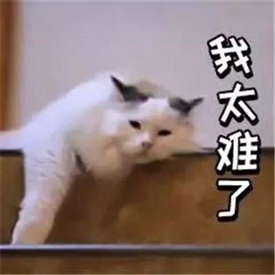 【中国教育报】致家长：孩子居家学习，你的高质量陪伴，是最高级的课程！（孩子上网课，看看你是哪种类型的家长）