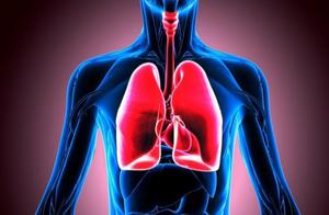 Original Release: Lungs