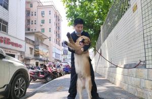 Golden Retriever Stuck at Home, Tied Up to Attract Customers