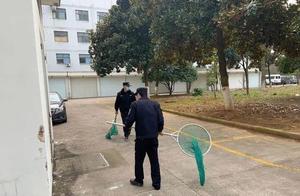 Shengzhou Comprehensive Administrative Enforcement Bureau: Conducting Canine Management and Regulating Dog Behavior