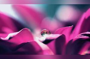 A kind heart brings forth good deeds; a generous spirit fosters great achievements.