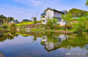 Guobao Blooms! Everywhere is Full of Spring Vigor!