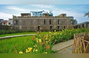 Hotel/Buesthousey Growing in a Rice Paddy