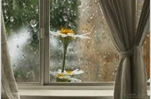 Watching the Spring Rain