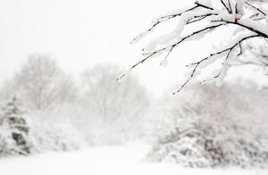 Before the Grain Rain Snow