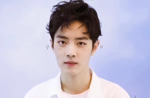 183cm Xiao Zhan Weighs 130 lbs: A Critique of the 'Pale and Slender' Male Aesthetic