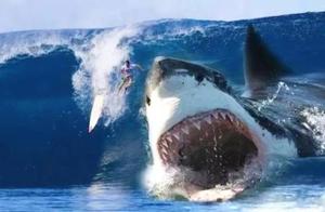 Ten Ancient Fearsome Beasts, Tyrannosaurus Rex Doesn't Make the Top Five, One Shrimp Makes the Top Three