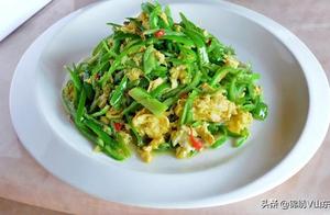 Delicious Recommendations: Green Pepper Egg Stir-fry, Stomach Silk Stew, Honey-Glazed Wings, Shrimp with Soy Sauce, Three-Cup Squid