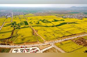 Rapeseed Flowers in Xuchang: Where are you, my dear?