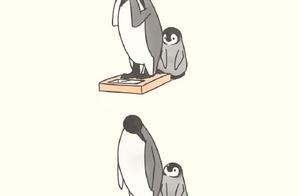 Adorable Penguin Daily Life - Full of Comfort and Healing
