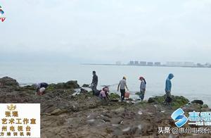 Going to the Sea to Experience the Joy of Harvesting