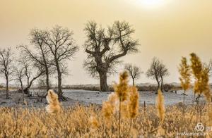 A Village by the Taklamakan Desert, Home to the Mysterious Robat People