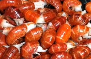 Lobster Tail Recipe 1