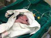 The 'Post-90s' Rat Little Brother Has Arrived! First 'Golden Rat' Baby Born in Shanghai's Yangpu District at Midnight