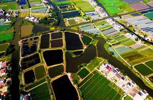 5 Years! 400 Rivers! What Will You See in Taicang?