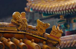 Once Spring Arrives, the Forbidden City Becomes Purple Forbidden City