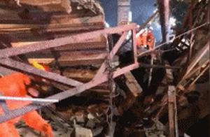 Search and Rescue Dogs Battle for Decades, Paws Ripped, But They Still Persist: I Can Still Go!