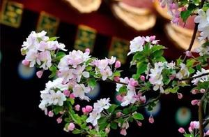 Some words and silence can be hurtful; some people's departure is as inevitable as their presence.