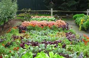 A Garden Is A Vegetable Garden, A Vegetable Garden Is A Garden