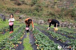 Tianyao: Rural Tourism Expands the Roads to People's Wealth