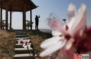 Bridge East District, Zhangjiakou, Hebei: Beautiful Scenery of Kangyang Small Town