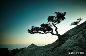 36 Ways to Navigate Life