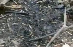 Sudden Fire Breaks Out at Night, Unnoticed Until a Family of Five Escaped