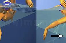 Why a Good Water Catch is So Difficult to Master