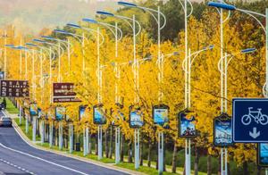 With Beauty and Strength, This Stunning Small City in the Suburbs of Hangzhou Can Be Reached by High-Speed Rail in Just 30 Minutes!