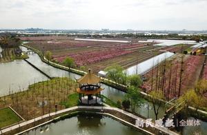 Peach Blossom River Song Scenic Line – Integrated Demonstration Zone Creates a Pastoral Resort