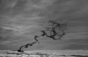 An Eighteen-Year-Old Old Man for the Vast Sky and Deep Earth (Original)