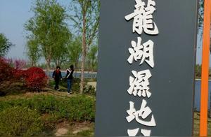 Dragon Lake Wetland Park - A Corner