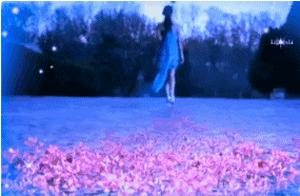 Shadows of Flowers Swaying – A Curtain of Poetry