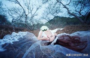 Falling Petals in a Season Without You and the Rain