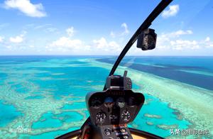 The World's Largest Coral Reef System: Australia's Great Barrier Reef (Transparent and Clear Marine Wild Kingdom)
