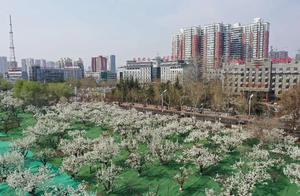 How Beautiful is Spring at Handan Lishan Garden? Click to See!