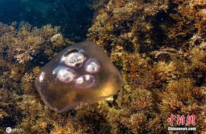 Real-Shot: Close-Up of the Adriatic Sea Floating Mother, Floating on the Waves