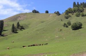 Beautiful Xinjiang Dedong Highway, Awaiting Your Arrival