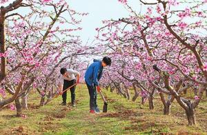 Toil Amidst the Flowers: Spring Enters the Eyes