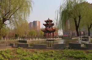 Bo College - Spring Bloom