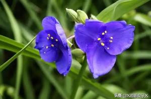 True Love Always Carries the Warmth of Everyday Life, Imperfect Yet Enduring