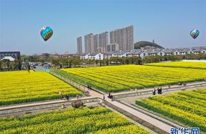 Wandering Through the Golden Flower Sea