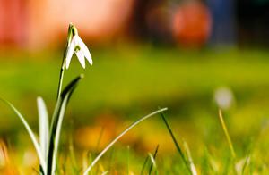 About Agents for the Soul: Bringing Distant Feelings Back In, Making Dreams Closer to Reality