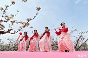 Yuyue: 'Pear Blossom Exchange' Festival 'Cloud' Opening